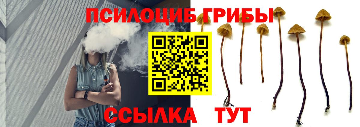 Можга  Галлюциногенные грибы Magic Shrooms  купить   Галлюциногенные грибы Psilocybe  Вход с VPN 